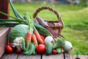 Verschiedene Gemüsesorten liegen vor einem Korb auf einer Holzstufe in einem Garten.