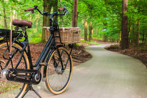 Ein Fahrrad steht auf einer kleinen Straße im Wald.