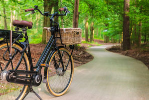 Ein Fahrrad steht auf einer kleinen Straße im Wald.