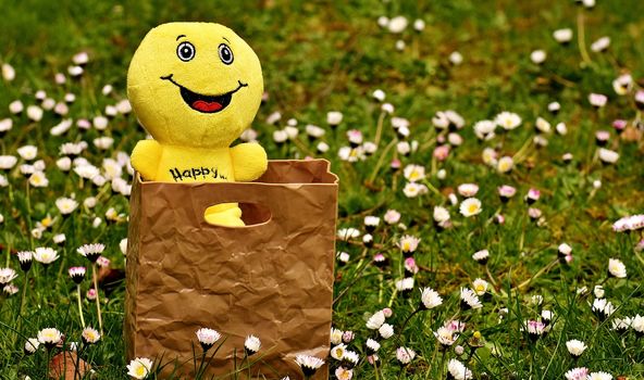 Gelbe, lachende Smiley-Puppe schaut aus einer braunen Papier-Tüte heraus.